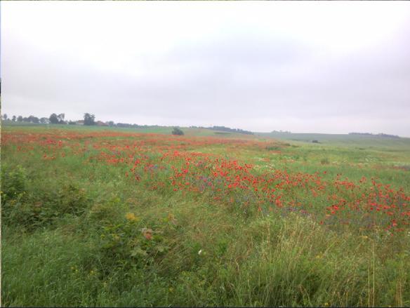 Vila Fajne Miejsce Jeziorany Exteriér fotografie